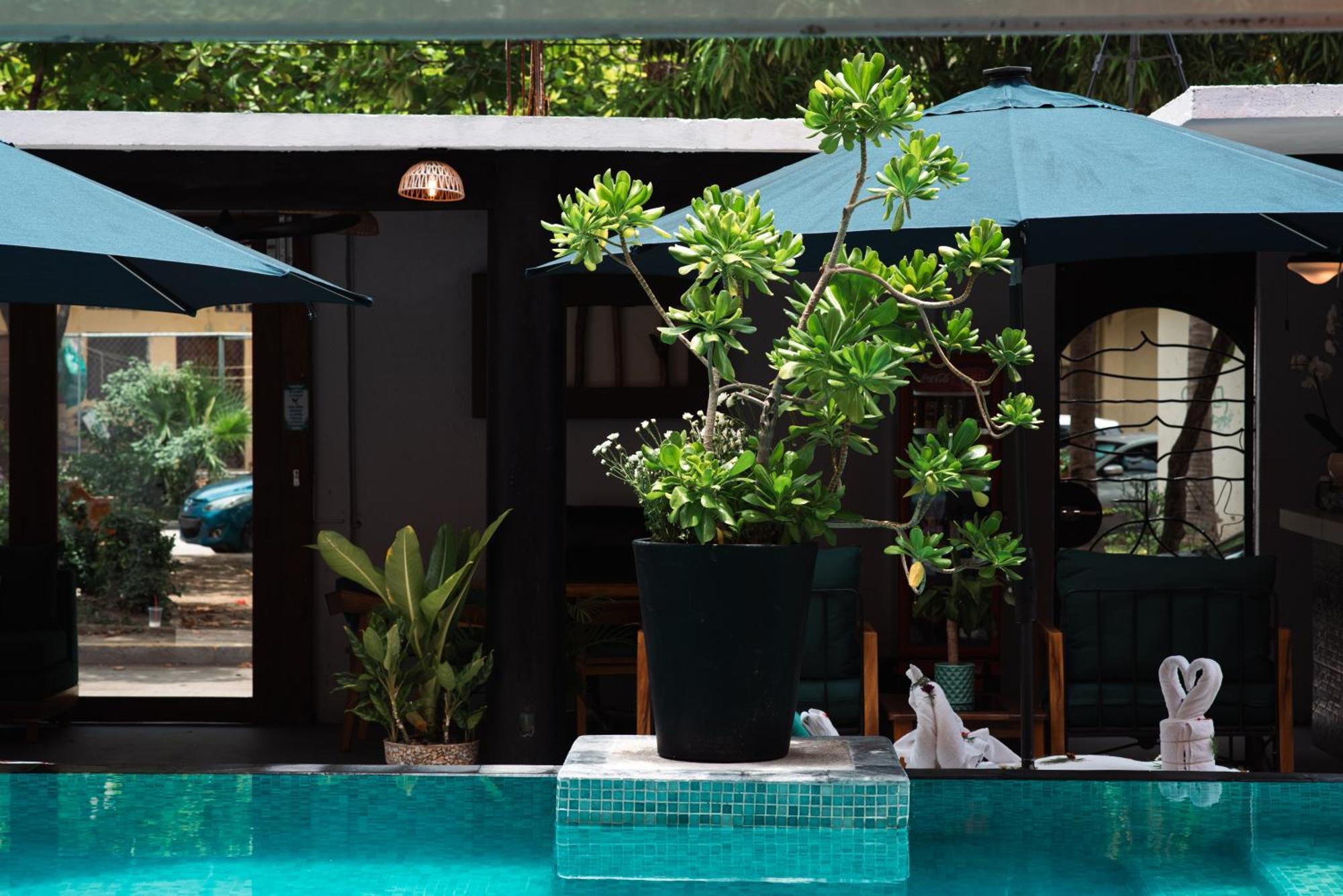 Zihua Mia Hotel Boutique Zihuatanejo Eksteriør bilde